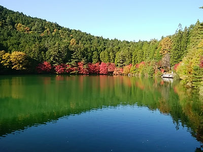 紅葉