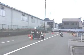 うさぎ８の字動画
