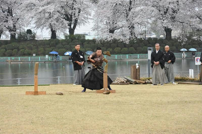 カタクリさくら祭り2015