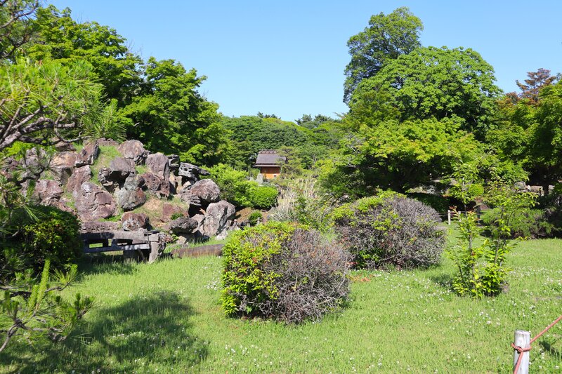 IMG_7595.JPG