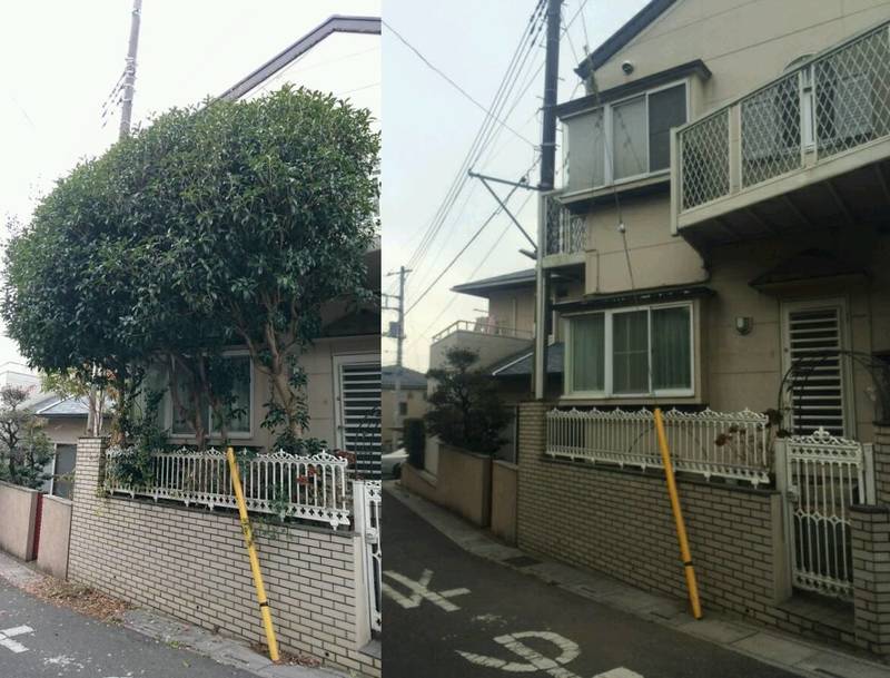 さいたま市にて 木の伐採