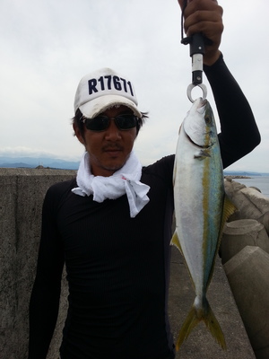ヒラマサ