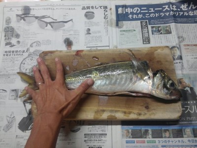 アジ