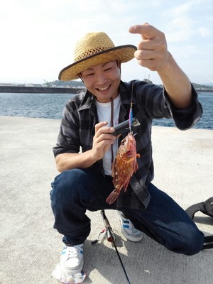 カサゴ