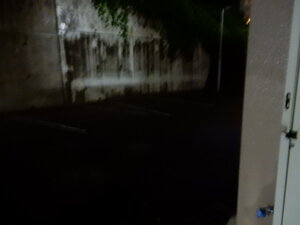 DSCN2558.JPG