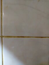 DSC_2188 (1).JPG