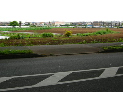けやき通から