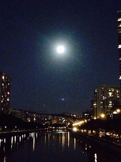 2015年 初 満月🌕