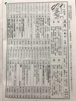 皐月 朔 (°▽°)