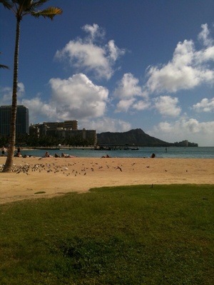 Hawaiiっぽいでしょぉ～😁